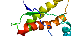 Prions: Food and Drug Safety